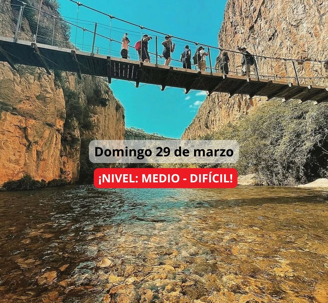 ¡Las mejores excursiones, circuitos y viajes desde Valencia en un mismo lugar!