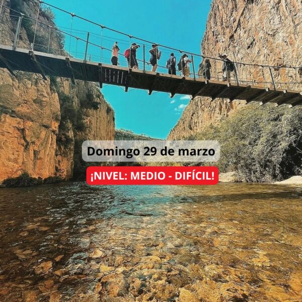 ¡Las mejores excursiones, circuitos y viajes desde Valencia en un mismo lugar!