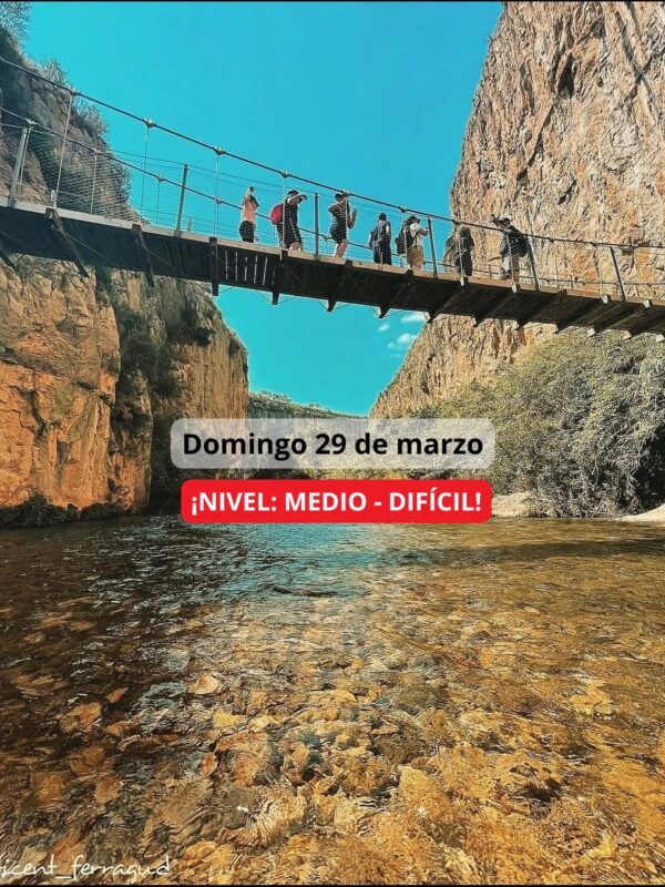 ¡Las mejores excursiones, circuitos y viajes desde Valencia en un mismo lugar!