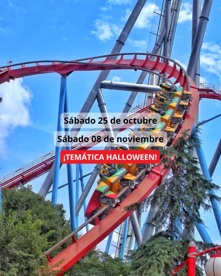 ¡Las mejores excursiones, circuitos y viajes desde Valencia en un mismo lugar!