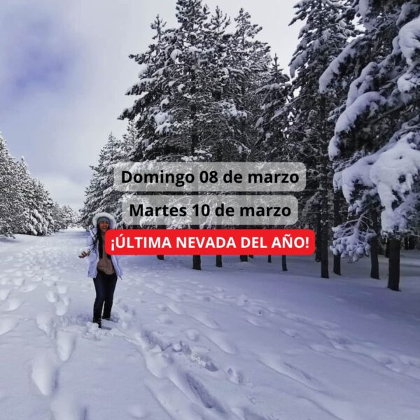 ¡Las mejores excursiones, circuitos y viajes desde Valencia en un mismo lugar!