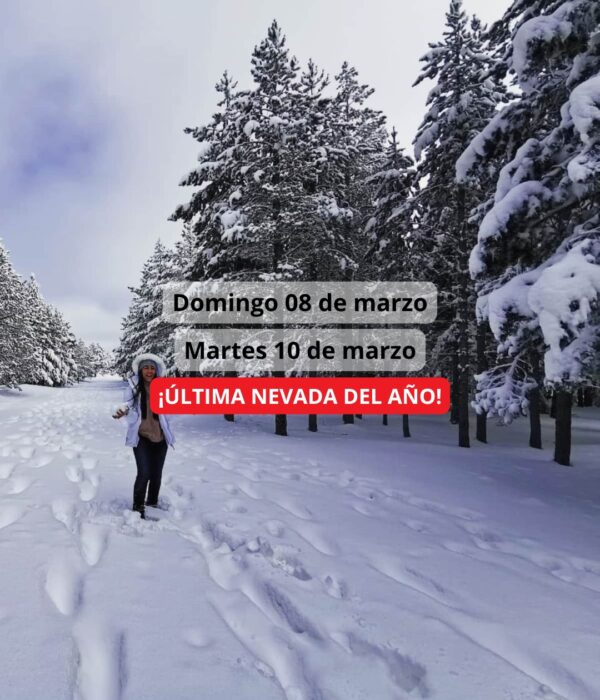 ¡Las mejores excursiones, circuitos y viajes desde Valencia en un mismo lugar!