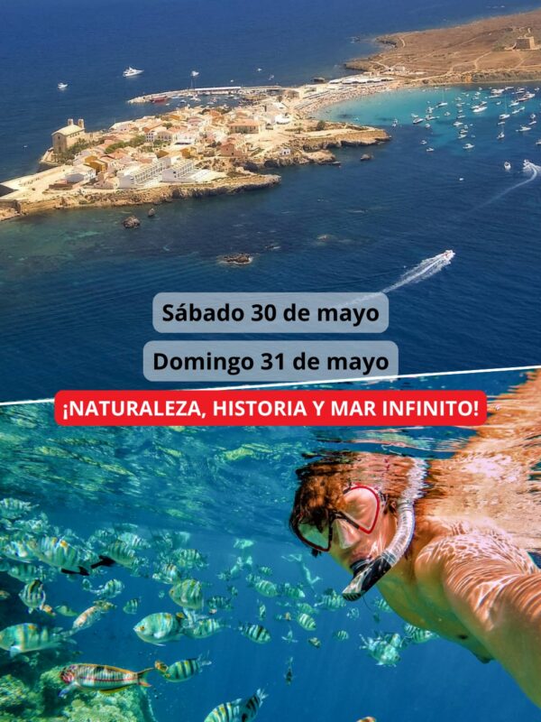 ¡Las mejores excursiones, circuitos y viajes desde Valencia en un mismo lugar!
