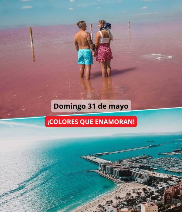 ¡Las mejores excursiones, circuitos y viajes desde Valencia en un mismo lugar!