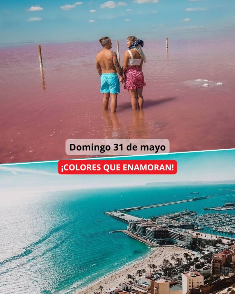 ¡Las mejores excursiones, circuitos y viajes desde Valencia en un mismo lugar!