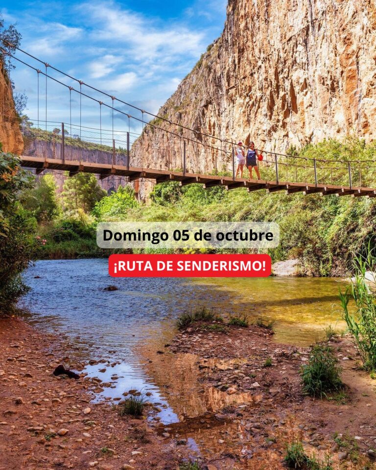 ¡Las mejores excursiones, circuitos y viajes desde Valencia en un mismo lugar!