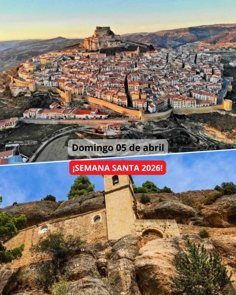 ¡Las mejores excursiones, circuitos y viajes desde Valencia en un mismo lugar!