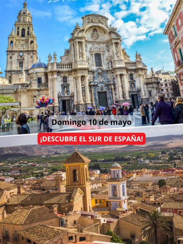 ¡Las mejores excursiones, circuitos y viajes desde Valencia en un mismo lugar!