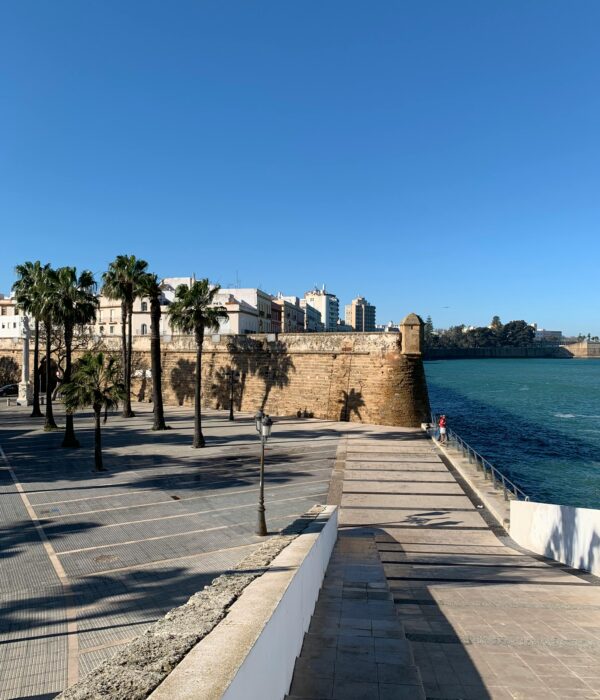 ¡Las mejores excursiones, circuitos y viajes desde Valencia en un mismo lugar!